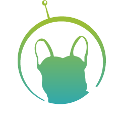 www.luciogat.com
